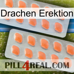 Dragon Erection 27